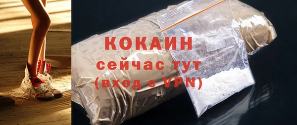 соль ск Дмитров