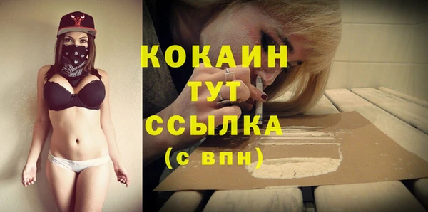 соль ск Дмитров
