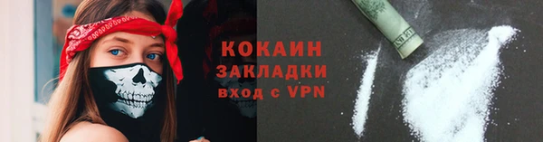 соль ск Дмитров