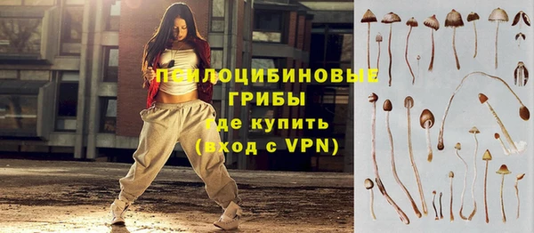 соль ск Дмитров