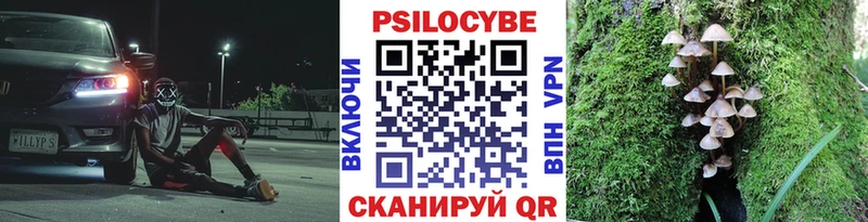 Галлюциногенные грибы мицелий где купить наркоту Красково